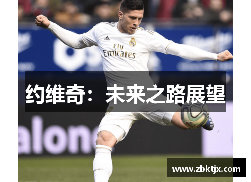 约维奇：未来之路展望